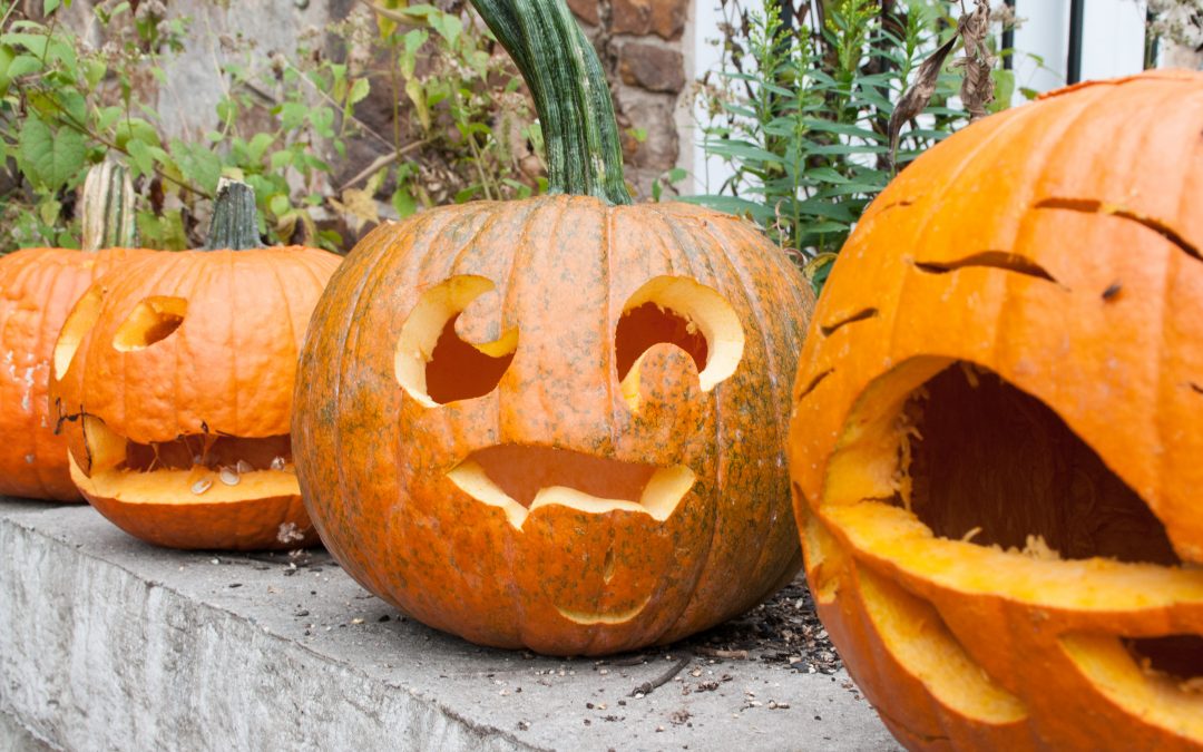 Pumpkin Carving Night