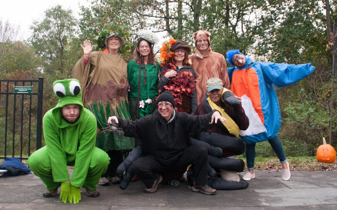 Haunted Trails at Honey Hollow