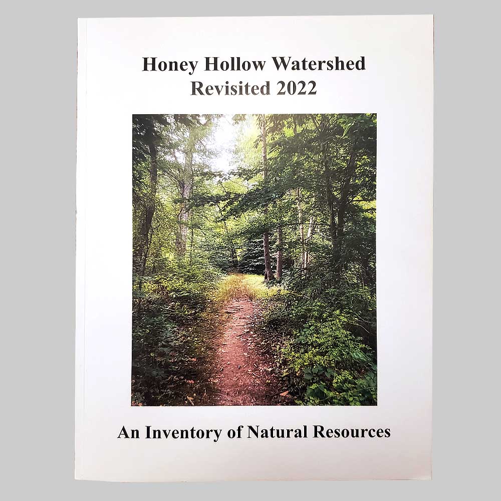 Honey Hollow Revisited 2022 Book