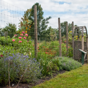 Community Garden