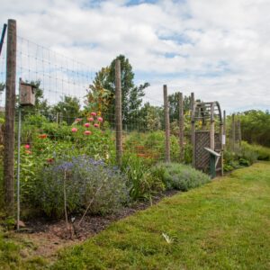 Garden Bed Rental