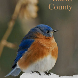 Birds of Bucks County Book