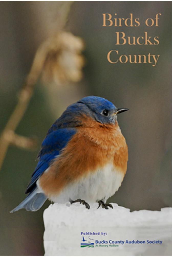 Birds of Bucks County Book