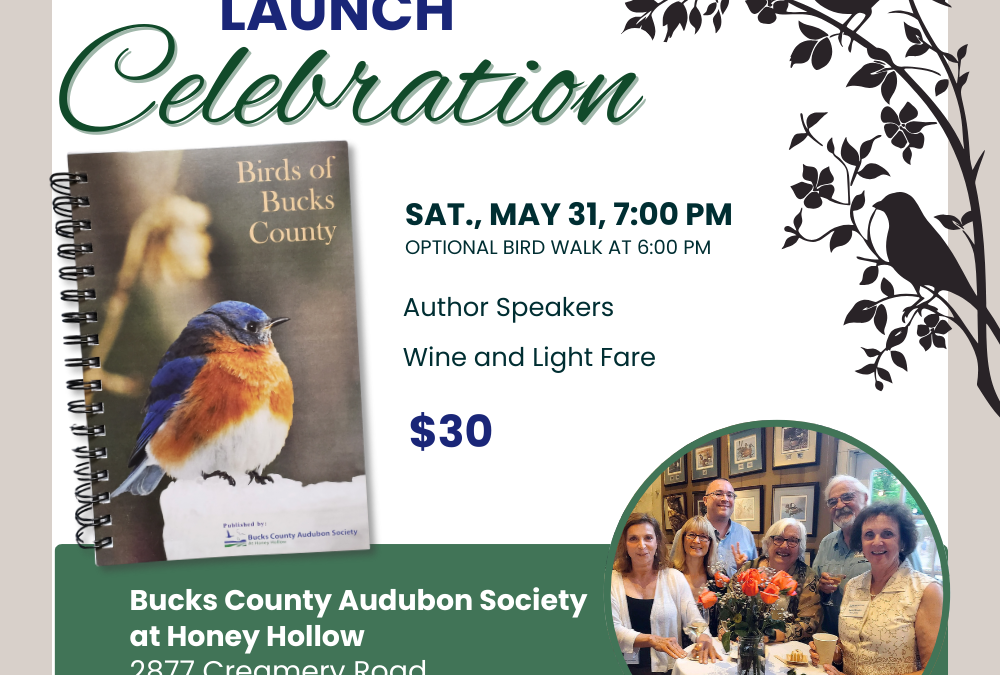 BOBC Book Launch Celebration