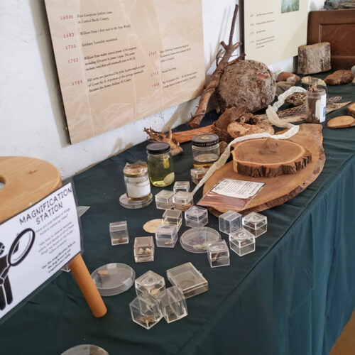 touchtable2 touch table with specimens