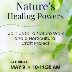 Nature's Healing Powers