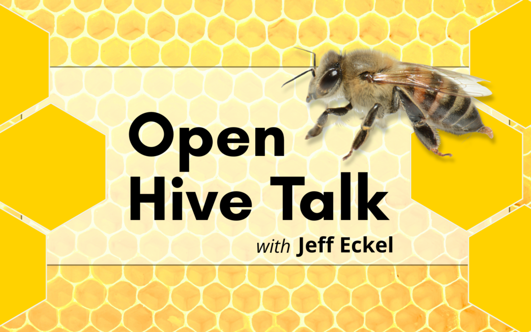 Open Hive Talk