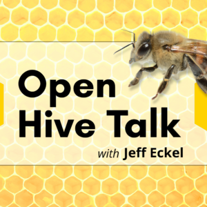 Open Hive Talk